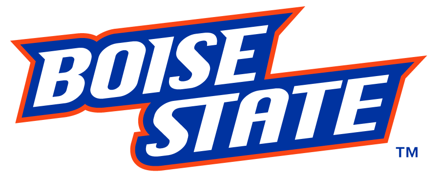 Boise State Broncos 2012-2013 Wordmark Logo t shirts iron on transfers